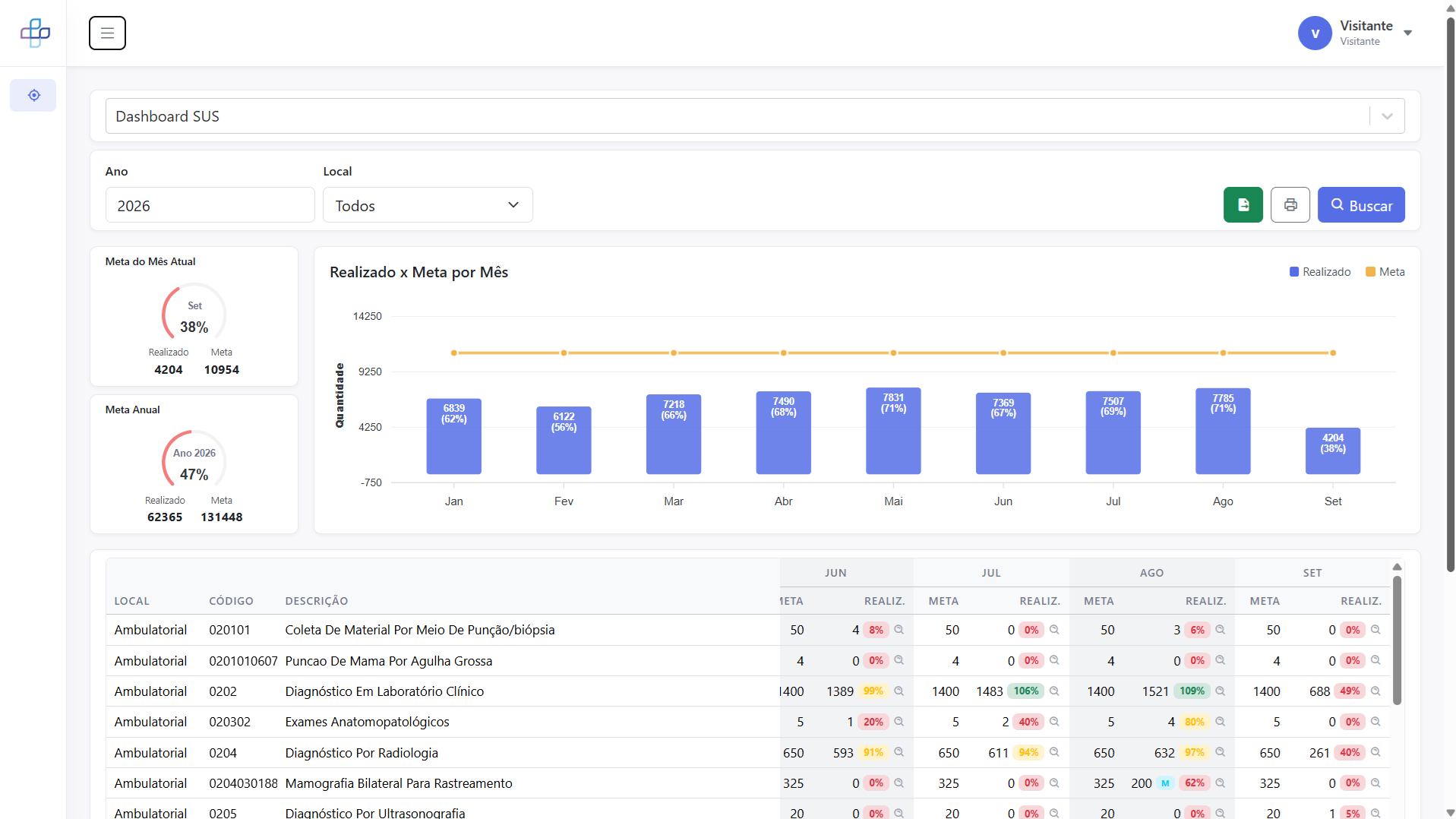Dashboard SUS com gráficos de realizado x meta por mês no sistema Meta SUS